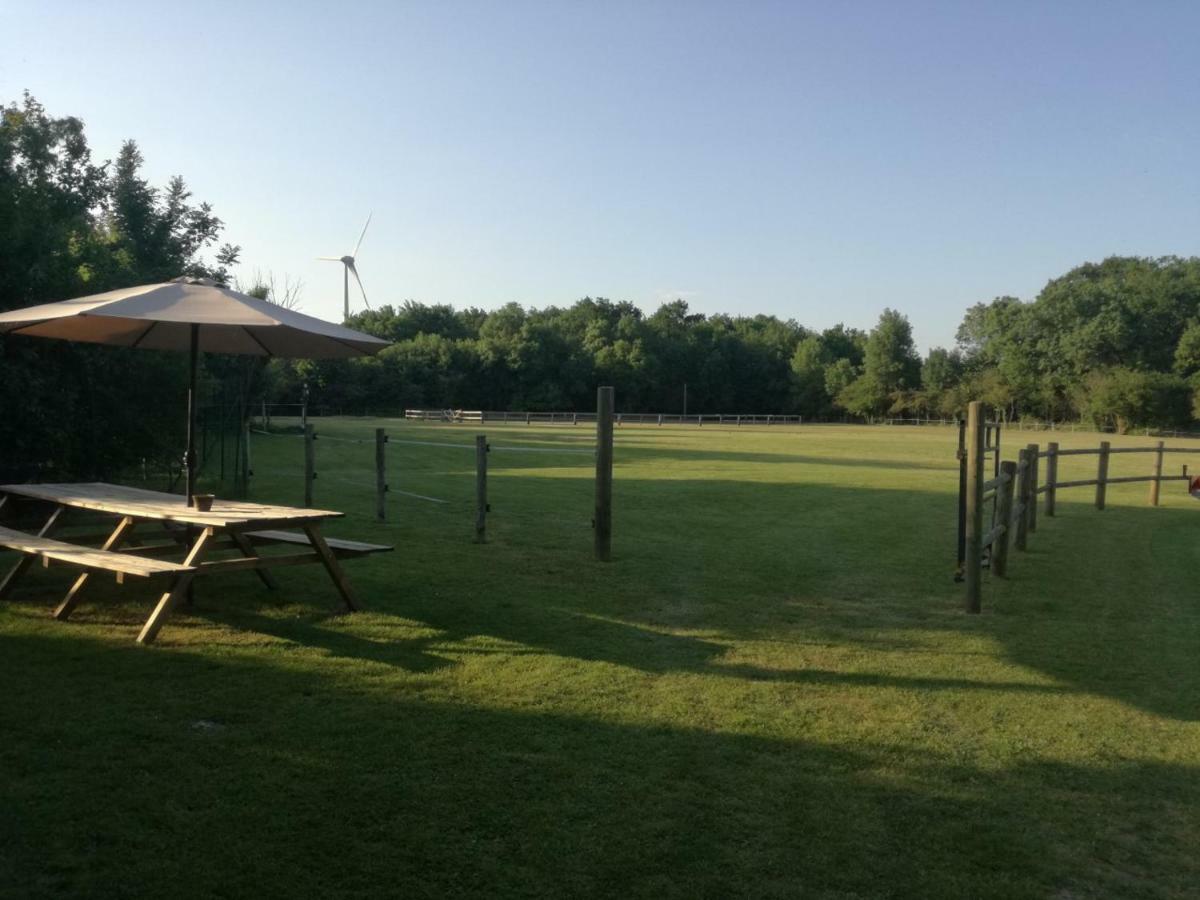 Le Gite Des 3 Saules Saint-Savinien Exterior foto