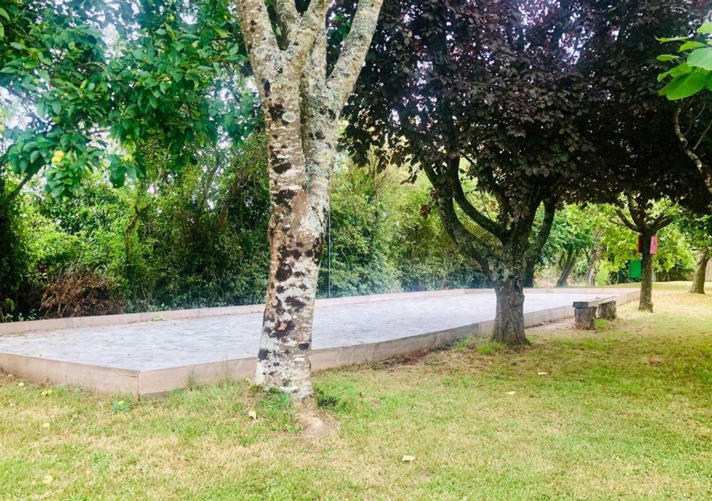 Le Gite Des 3 Saules Saint-Savinien Exterior foto